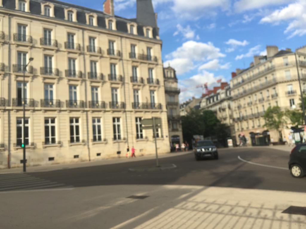 Ideal Art Deco Compris Un Parking Prive Securise Darcy Liberte Centre Gare-Ville Dijon Eksteriør bilde